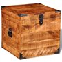 vidaXL Coffre carré en Bois Brut de manguier Banc Banquette Meuble de Rangement