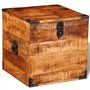 vidaXL Coffre carré en Bois Brut de manguier Banc Banquette Meuble de Rangement