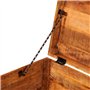 vidaXL Coffre carré en Bois Brut de manguier Banc Banquette Meuble de Rangement