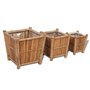 vidaXL Lits Surélevés en Bambou avec Doublure en Nylon 3 pcs Jardinière Jardin