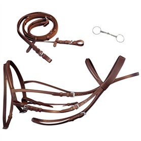 vidaXL Bride Flash avec rênes et Embout Complet Marron Bridon Bride pour Cheval