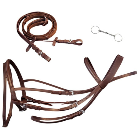 vidaXL Bride Flash avec rênes et Embout Complet Marron Bridon Bride pour Cheval