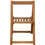 vidaXL Lot de 2 chaises de Jardin Pliantes en Bois d'acacia