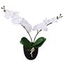vidaXL Plante Artificielle et Pot Orchidée Décoration d'Intérieur 30 cm Blanc