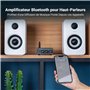 Fosi Audio BT20A Amplificateur Audio Bluetooth, 100W x2 Ampli HiFi Stéréo 2 Canaux, Classe D Ampli TPA3116 Intégré Ampli de Puis