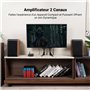 Fosi Audio BT20A Amplificateur Audio Bluetooth, 100W x2 Ampli HiFi Stéréo 2 Canaux, Classe D Ampli TPA3116 Intégré Ampli de Puis