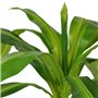 vidaXL Plante Artificielle Pot Dracaena Vert Décoration Maison Bureau Jardin