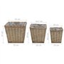 vidaXL Lits Surélevés 3 pcs Osier avec Doublure en PE Jardinière Bac de Fleur