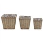 vidaXL Lits Surélevés 3 pcs Osier avec Doublure en PE Jardinière Bac de Fleur