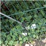 Ribiland Pince ramasse détrituts