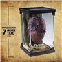 The Noble Collection France NN5258 Accessoires Multicolore