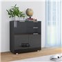 vidaXL Buffet Commode Armoire de Rangement avec 2 Tiroirs et 2 Portes Chambre à Coucher Salon Salle de Séjour Maison Noir Brilla