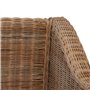 vidaXL Fauteuil avec Coussins en rotin Naturel