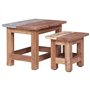 vidaXL Tables Gigognes 2 pcs, Bouts de Canapé, Tables d'Appoint Gigognes, Meubles de Salon Salle de Séjour Maison Intérieur, Boi
