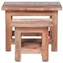 vidaXL Tables Gigognes 2 pcs, Bouts de Canapé, Tables d'Appoint Gigognes, Meubles de Salon Salle de Séjour Maison Intérieur, Boi
