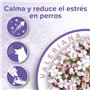 Collier de Chien calmant de Beavre 65 cm 30 g