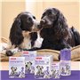 Collier de Chien calmant de Beavre 65 cm 30 g