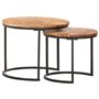 vidaXL Tables Gigognes 2 pcs Table Basse Table d'Appoint Table de Salon Table de Canapé Couloir Salle de Séjour Maison Intérieur