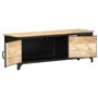 vidaXL Meuble TV Armoire Basse Meuble Divertissement avec 2 Portes et 2 Etagères Salon Salle de Séjour Intérieur 120x30x40 cm Bo