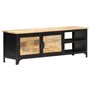 vidaXL Meuble TV Armoire Basse Meuble Divertissement avec 2 Portes et 2 Etagères Salon Salle de Séjour Intérieur 120x30x40 cm Bo