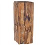 vidaXL Table d'Appoint Table Basse Table de Canapé Support pour Plantes Meuble de Salon Salle de Séjour Intérieur 30x30x80 cm Bo