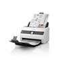 Workforce DS-730N PERP