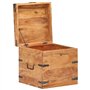 vidaXL Coffre Boîte de Rangement Coffre de Stockage Armoire de Rangement Table de Chevet Chambre Intérieur 40x40x40 cm Bois d'Ac