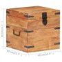 vidaXL Coffre Boîte de Rangement Coffre de Stockage Armoire de Rangement Table de Chevet Chambre Intérieur 40x40x40 cm Bois d'Ac
