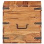 vidaXL Coffre Boîte de Rangement Coffre de Stockage Armoire de Rangement Table de Chevet Chambre Intérieur 40x40x40 cm Bois d'Ac
