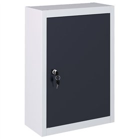 Armoire à outils murale Style Industriel Métal Gris et noir