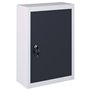Armoire à outils murale Style Industriel Métal Gris et noir