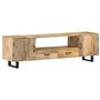 vidaXL Meuble TV Armoire Basse Centre de Divertissement Meuble de Salon Salle de Séjour Maison Intérieur 160x30x45 cm Bois Massi