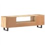 vidaXL Meuble TV Armoire Basse Centre de Divertissement Meuble de Salon Salle de Séjour Maison Intérieur 160x30x45 cm Bois Massi
