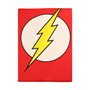 SD Toys Delantal Tablier Motif Flash DC Comics, One Size (Lot de 5) Mixte