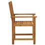 vidaXL 2X Chaises de Jardin avec Coussins Sièges de Patio Chaises de Terrasse Sièges d'Extérieur Chaises de Plage Camping Bois d