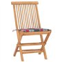 vidaXL Teck Mobilier à Dîner d'Extérieur Pliable avec Coussin 3 pcs Mobilier de Patio Ensemble de Salle à Manger de Terrasse Sal