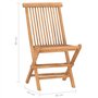 vidaXL Teck Mobilier à Dîner d'Extérieur Pliable avec Coussin 3 pcs Mobilier de Patio Ensemble de Salle à Manger de Terrasse Sal
