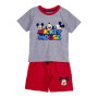 CERDÁ LIFE'S LITTLE MOMENTS Combinaison d'Été pour Garçon Costume pour Enfant en 2 pièces (t-Shirt + Short) -100% Coton imprimé 
