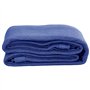 vidaXL Tapis de Tente Bâche de Camping Tapis d'Extérieur Tapis d'Auvent de Caravane Voyage en Camping Terrasse Patio 300x400 cm 