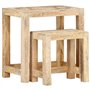 vidaXL Tables d'Appoint Peintes à la Main 2 pcs Table Gigogne Table d'Appoint Table Basse Table de Salon Table de Canapé Bois de