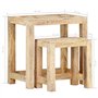vidaXL Tables d'Appoint Peintes à la Main 2 pcs Table Gigogne Table d'Appoint Table Basse Table de Salon Table de Canapé Bois de