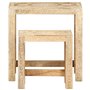 vidaXL Tables d'Appoint Peintes à la Main 2 pcs Table Gigogne Table d'Appoint Table Basse Table de Salon Table de Canapé Bois de