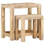 vidaXL Tables d'Appoint Peintes à la Main 2 pcs Table Gigogne Table d'Appoint Table Basse Table de Salon Table de Canapé Bois de