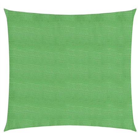 Voile d ombrage 160 g m² Vert clair 3,6x3,6 m PEHD