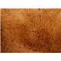 SD TOYS - Coussin Gizmo Gremlins
