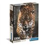 CLEMENTONI - Compact 1000 pieces - Walk of the Jaguar