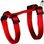 Junior harnais chaton avec laisse - TRIXIE - 1931 cm / 8 mm - 1,20 m