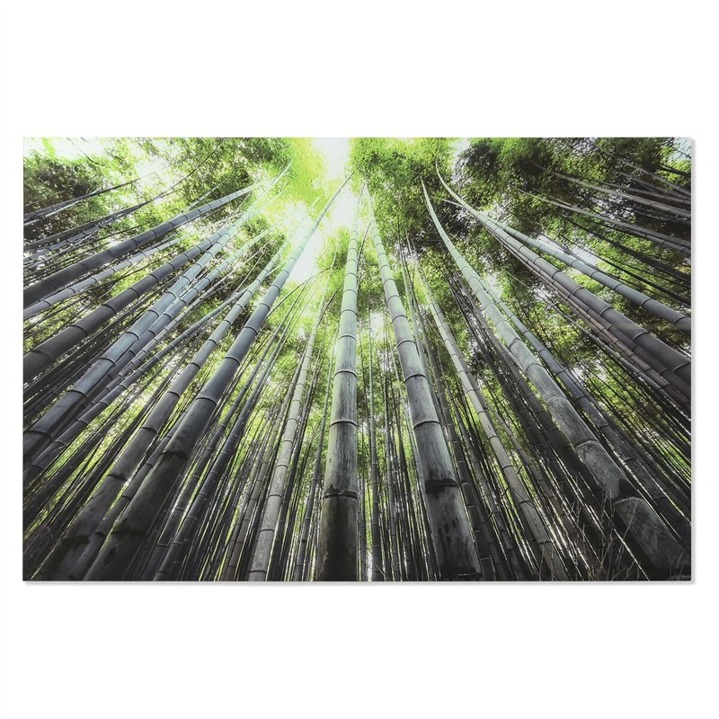 Cadre Home ESPRIT Vert Imprimé 150 x 0,4 x 100 cm