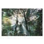 Cadre Home ESPRIT Vert Imprimé 150 x 0