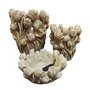 Vase Home ESPRIT Gris Ciment Tulipe 29 x 27 x 32 cm